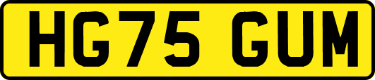 HG75GUM