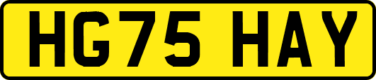 HG75HAY