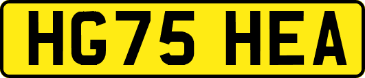 HG75HEA