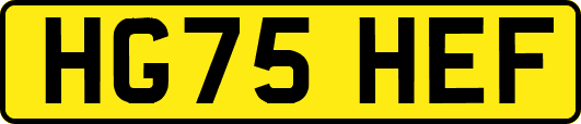 HG75HEF