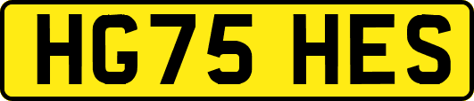 HG75HES