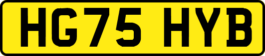 HG75HYB
