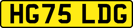 HG75LDG