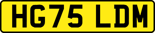 HG75LDM