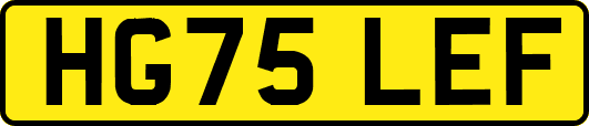HG75LEF