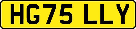 HG75LLY
