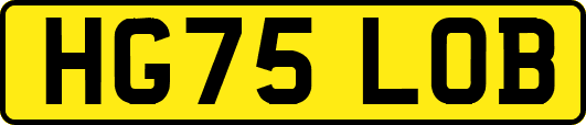 HG75LOB