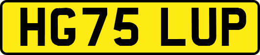 HG75LUP