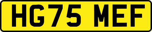 HG75MEF