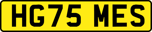 HG75MES