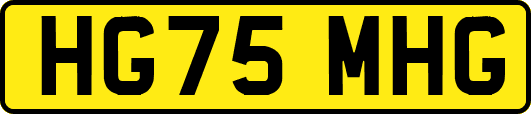 HG75MHG