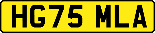 HG75MLA