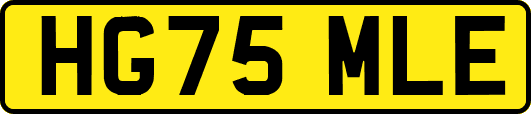 HG75MLE