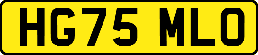HG75MLO