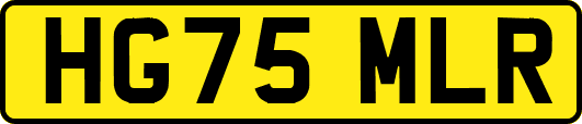 HG75MLR