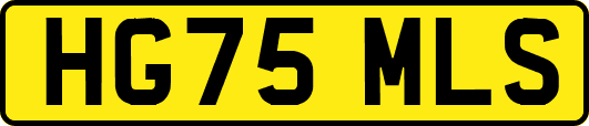HG75MLS