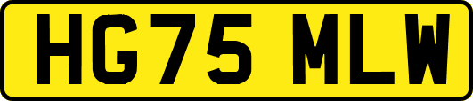 HG75MLW