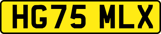 HG75MLX