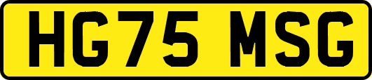 HG75MSG
