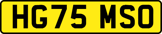 HG75MSO