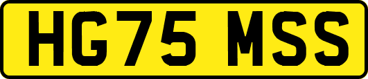 HG75MSS