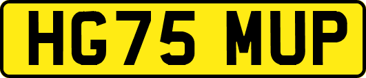 HG75MUP