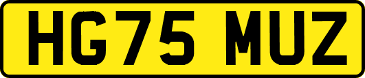 HG75MUZ