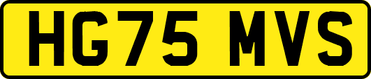 HG75MVS