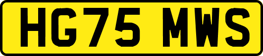 HG75MWS