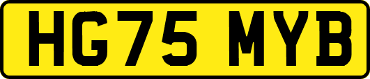 HG75MYB