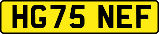 HG75NEF