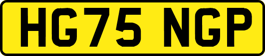 HG75NGP