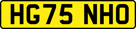 HG75NHO