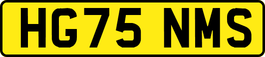 HG75NMS