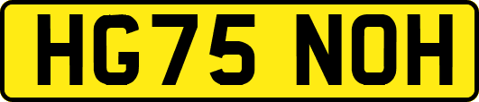 HG75NOH