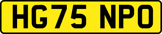 HG75NPO
