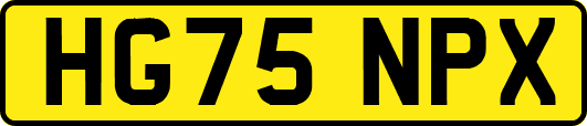 HG75NPX