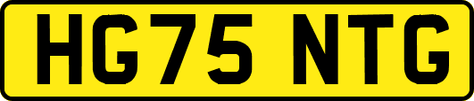 HG75NTG