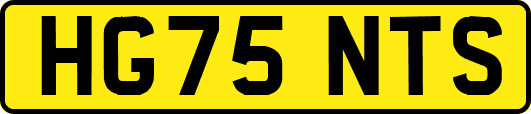 HG75NTS