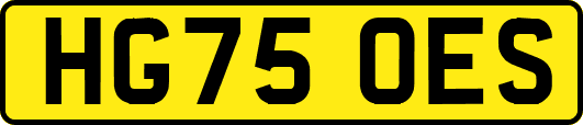 HG75OES