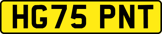 HG75PNT