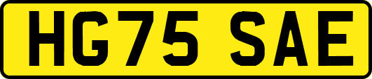 HG75SAE