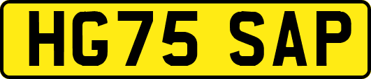 HG75SAP