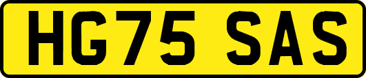 HG75SAS