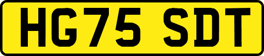 HG75SDT