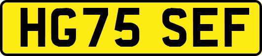 HG75SEF