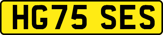 HG75SES