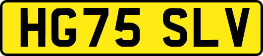 HG75SLV