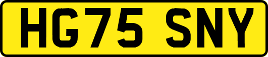 HG75SNY