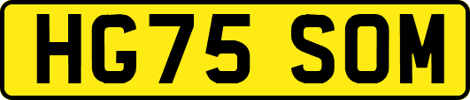 HG75SOM